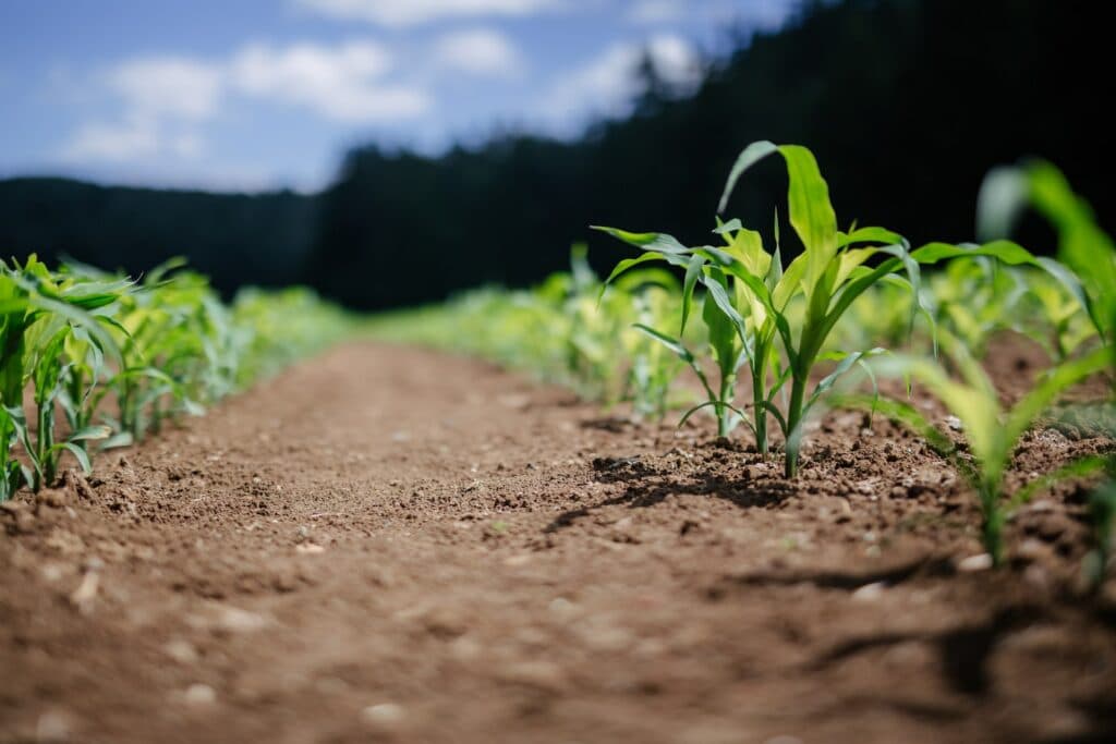 agriculture développement durable
