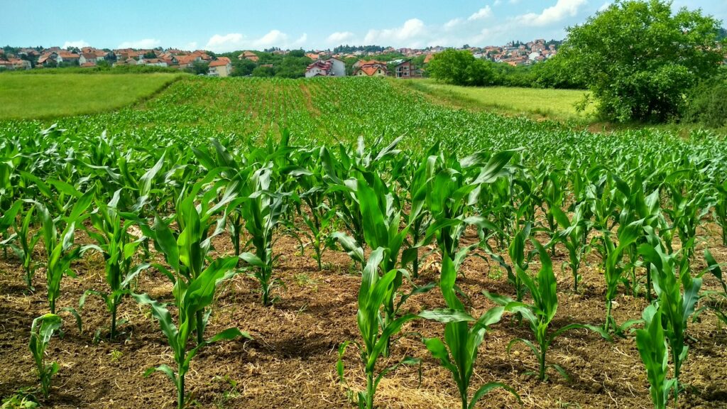 produits phytosanitaires
