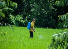 Quels sont les avantages des produits phytosanitaires ?